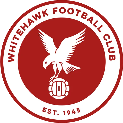 Whitehawk